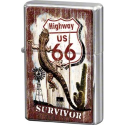 Bricheta metalica - Route 66 Survivor